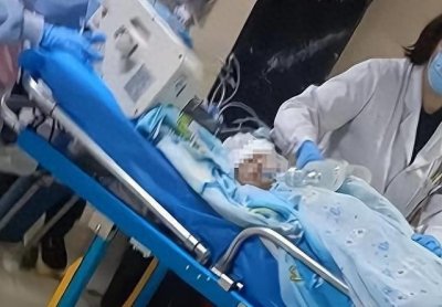 ​狗主人终于露面，引发成都罗威纳犬事件升级！