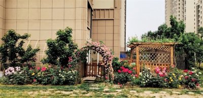 ​楼上最讨厌一楼住户的6个行为，你家要住一楼，别变成“百人厌”