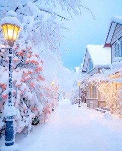 ​揭秘小三现象：为何如此盛行？真相令人大跌眼镜！