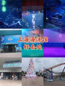 ​上海海洋馆好去处