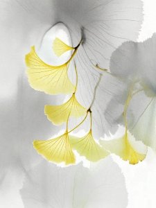 ​王维16首山水诗词，空灵禅意，意蕴深厚；读后如沐春风，身心俱醉