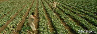 ​调音师影评-高达50处反转+烧脑结局，外加渐次深入的人性之恶