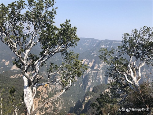 河南省 焦作 沁阳市 神农山