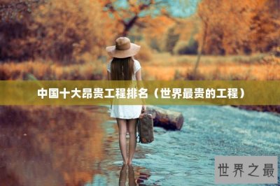 ​中国十大昂贵工程排名（世界最贵的工程）