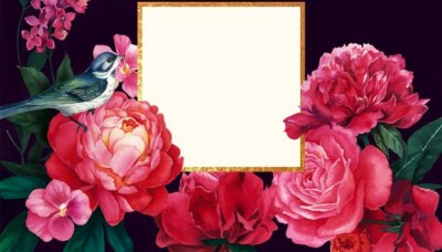 ​洛阳牡丹的历史由来