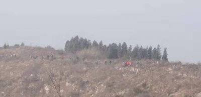 ​一花一草一世界,一草一木一菩提的意思(一花一草一世界,一草一木一菩提)