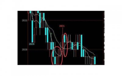 ​皇室新娘的婚礼,精致的婚礼仪式