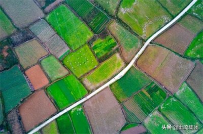 ​2022农村承包土地补贴政策：具体补贴多少钱一亩？