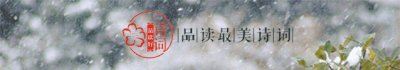 ​与梅并作十分春，十二首雪梅的诗词，看雪中绽放的梅花，傲霜斗雪