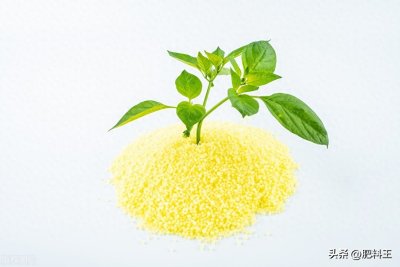 ​20221226复合肥行情