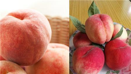 水蜜桃可以放冰箱吗 怎么保存时间长