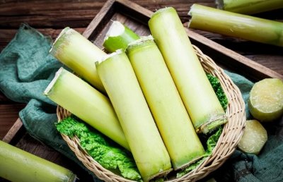 ​甘蔗属于水果吗(甘蔗是不是水果)