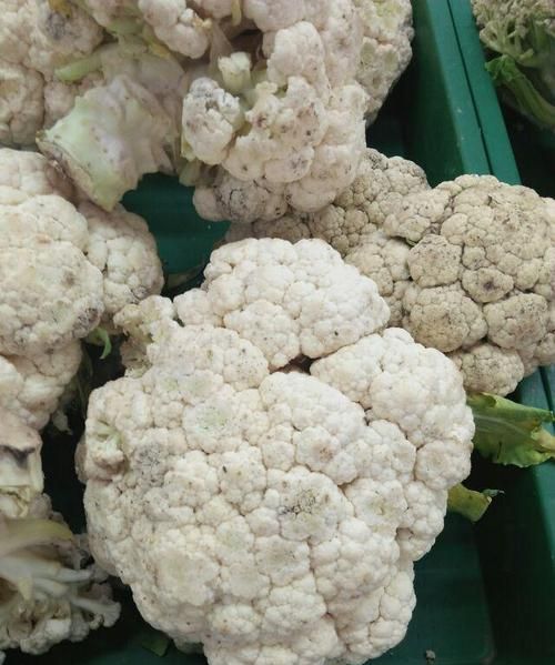 菜花是花吗还是果实