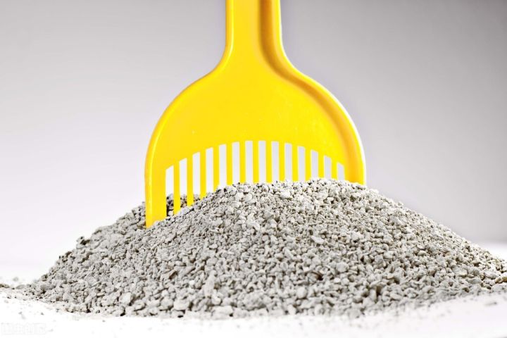 猫腻什么意思（“猫腻“的背后来源文章讲解）