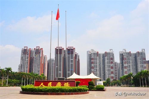 随拍东江之滨小镇 --- 惠州市 园洲镇