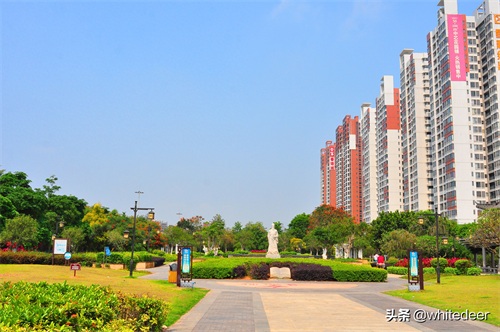 随拍东江之滨小镇 --- 惠州市 园洲镇