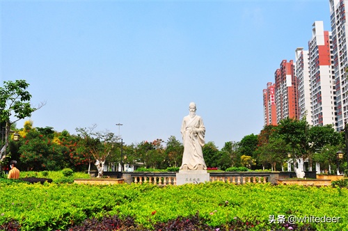 随拍东江之滨小镇 --- 惠州市 园洲镇