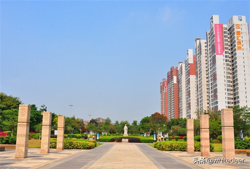 随拍东江之滨小镇 --- 惠州市 园洲镇