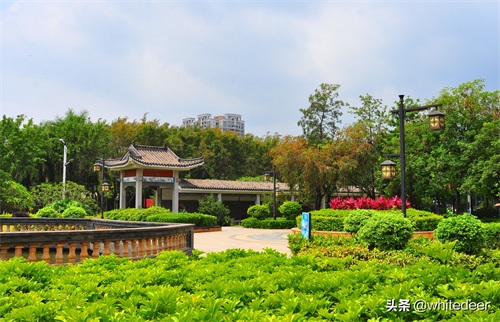 随拍东江之滨小镇 --- 惠州市 园洲镇