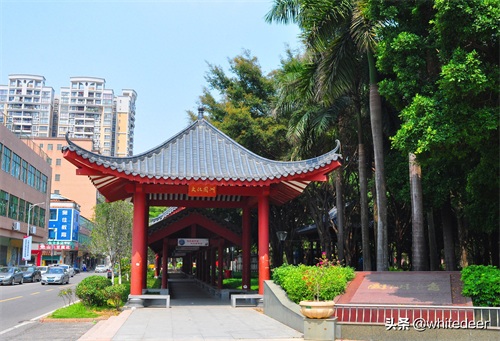 随拍东江之滨小镇 --- 惠州市 园洲镇