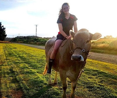 女孩训练奶牛11年，能骑奶牛跨过1米多高的障碍物！