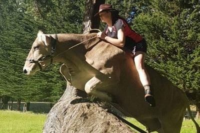 女孩训练奶牛11年，能骑奶牛跨过1米多高的障碍物！