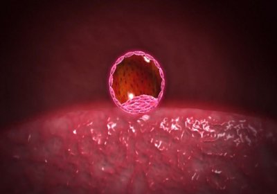 ​3D组图：带你看胚胎发育全过程，胎心出来的那一瞬，妈妈笑着流泪