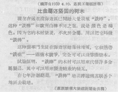 ​铁桦木真的比钢铁还硬吗？