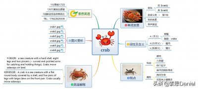 ​索思英语解码单词（第21个）——crab 螃蟹