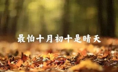 ​农村谚语解析: 最怕十月初十是晴天!