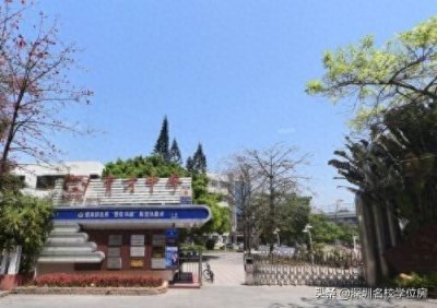 ​深圳育才中学好不好 深圳蛇口育才教育集团育才中学介绍
