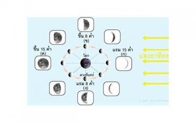 ​姚沁蕾身高，姚沁蕾身高已跟姚明当年几乎一模一样