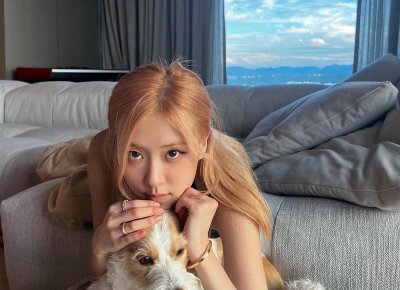 ​曾被嫌弃的农村“野草”，如今价格惊人，98 一斤！