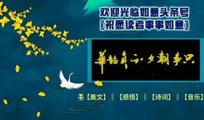 ​风信子花语：生命哲学的浪漫诠释