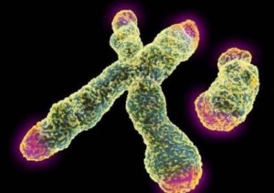 ​十大悍匪排行榜 ，呼兰大侠残杀百余人至今未破