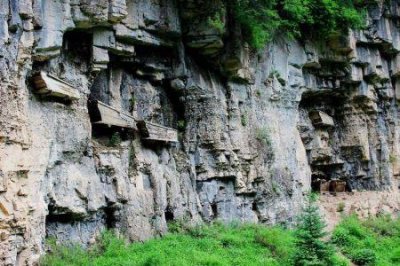 ​各种奇闻怪事,奇闻怪事收藏