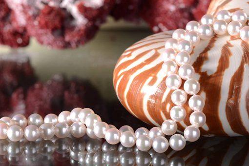 有核珍珠和无核珍珠有什么区别?哪一个更好?