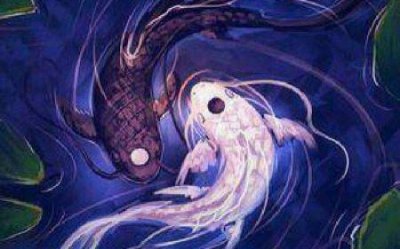 ​盘点毒性最大的10种蜘蛛