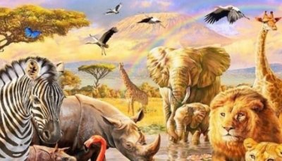 ​世界上三大不死的动物是什么（有长生不死的动物存在吗）