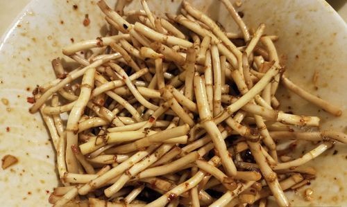 折耳根邮寄如何保存