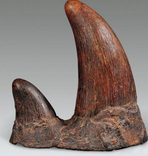 世界上最贵的十种东西(世界上最贵的10种物质)插图4