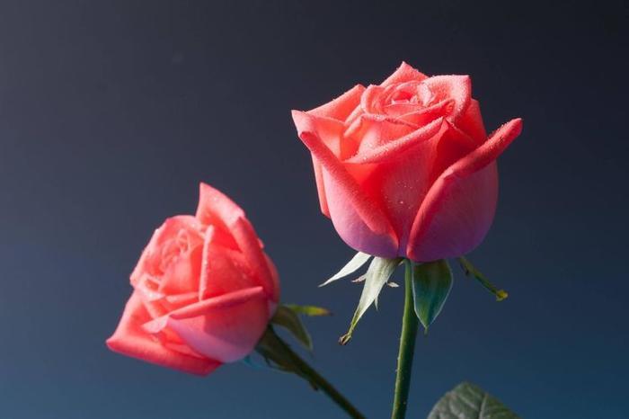 小心“甜蜜”陷阱，三招教你辨别真假蜂蜜！！