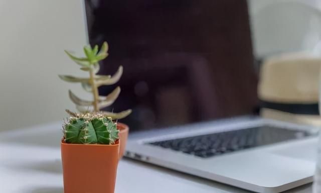 长时间面对电脑，仙人掌放在计算机旁真能防辐射吗
