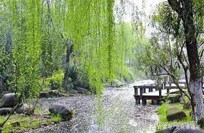 ​形容柳絮纷飞的诗句（描写柳絮飞起的唯美古诗）