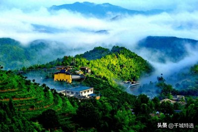 ​江西赣州特产有哪些？赣州十大特产排行榜