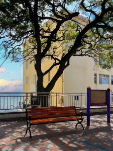 ​青岛必游景点大揭秘：门票预约攻略与费用一览，轻松规划旅程！