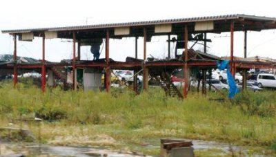 ​外形酷似煎蛋