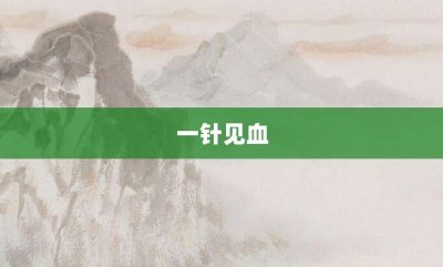 ​一针见血