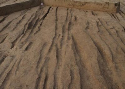 ​陕西西安东北部发现两处车辙密布的古代道路 或与西汉长门宫有密切关系