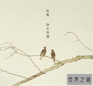 良禽择木而栖的含义介绍 出处及节选介绍